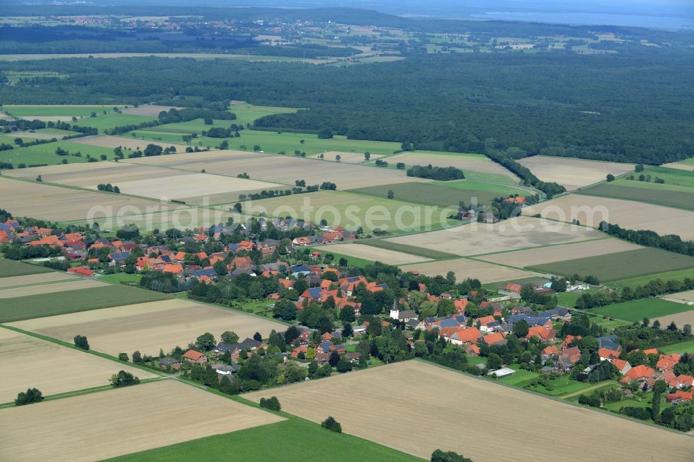 Wiedensahl from above - Town View of the streets and houses of the residential areas in Wiedensahl in the state Lower Saxony