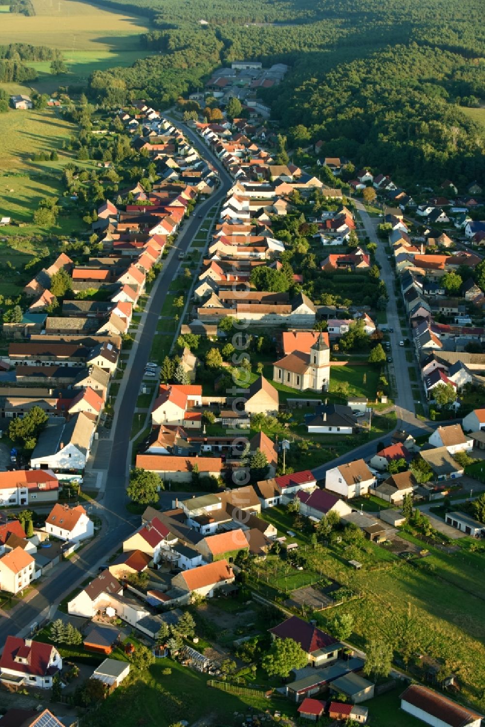 Aerial image Wollin - Town View of the streets and houses of the residential areas in Wollin in the state Brandenburg, Germany