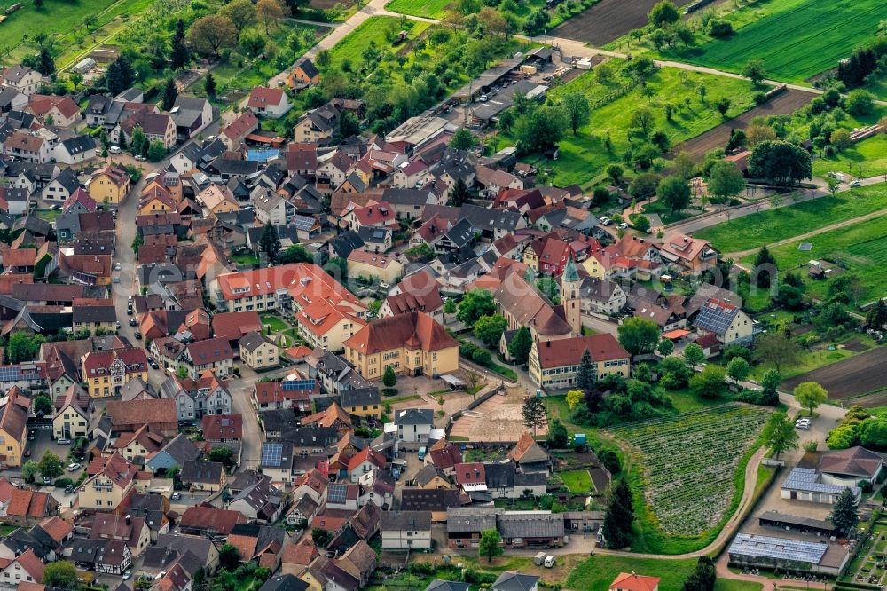 Aerial photograph Wyhl am Kaiserstuhl - Town View of the streets and houses of the residential areas in Wyhl am Kaiserstuhl in the state Baden-Wurttemberg, Germany