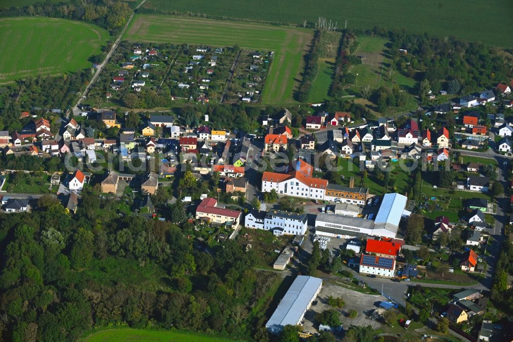 Zschölkau from above - Town View of the streets and houses of the residential areas in Zschoelkau in the state Saxony, Germany