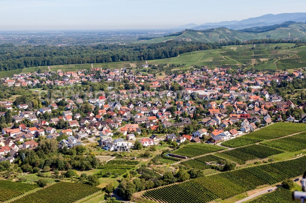 Offenburg from the bird's eye view: Town View between wine yards of Zell-Weierbach in Offenburg in the state Baden-Wuerttemberg, Germany