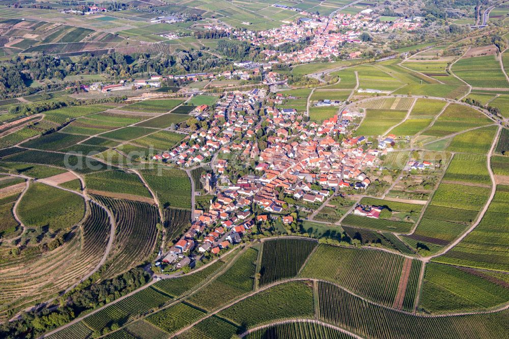 Birkweiler from the bird's eye view: Town center on the edge of vineyards and wineries in the wine-growing area in Birkweiler in the state Rhineland-Palatinate, Germany