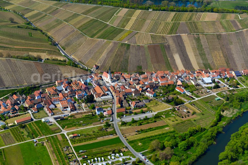 Escherndorf from above - Town center on the edge of vineyards and wineries in the wine-growing area in Escherndorf in the state Bavaria, Germany