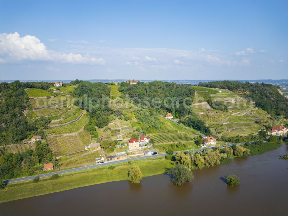 Scharfenberg from above - Village center on the edge of vineyards and wineries in the wine-growing region on the banks of the Elbe river in Scharfenberg in the state of Saxony, Germany