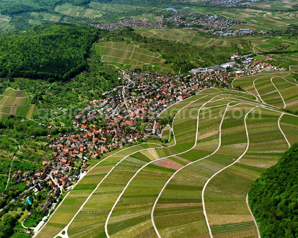 Strümpfelbach from the bird's eye view: Town center on the edge of vineyards and wineries in the wine-growing area in Strümpfelbach in the state Baden-Wuerttemberg, Germany