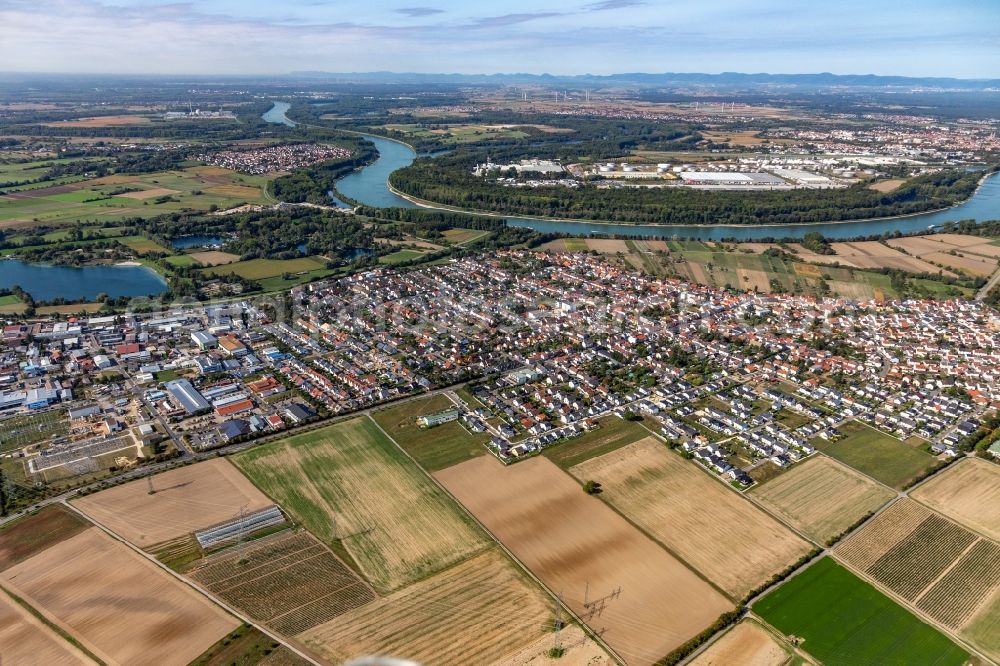 Altlußheim from the bird's eye view: Town on the banks of the river of the Rhine river in Altlussheim in the state Baden-Wuerttemberg, Germany