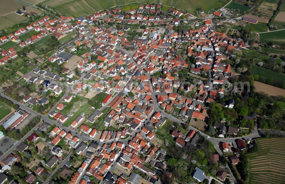 Schornsheim from the bird's eye view: Townscape Schornsheim in Rhineland-Palatinate