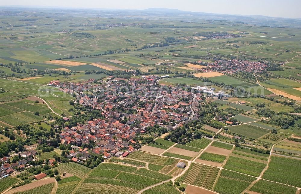 Aerial photograph Schwabenheim an der Selz - View of the town and agricultural valley in Schwabenheim an der Selz in Rhineland-Palatinate