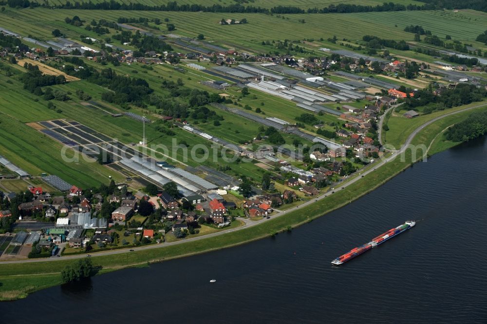 Hamburg Warwisch from the bird's eye view: Village on the banks of the area Elbe - river course in Hamburg Warwisch