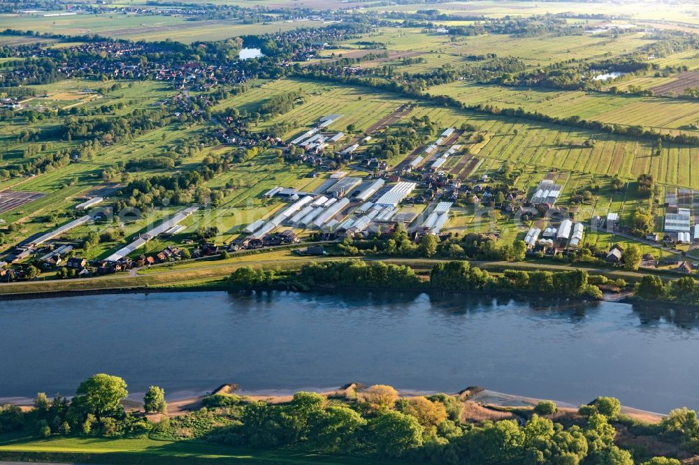 Aerial photograph Hamburg Warwisch - Village on the banks of the area Elbe - river course in Hamburg Warwisch