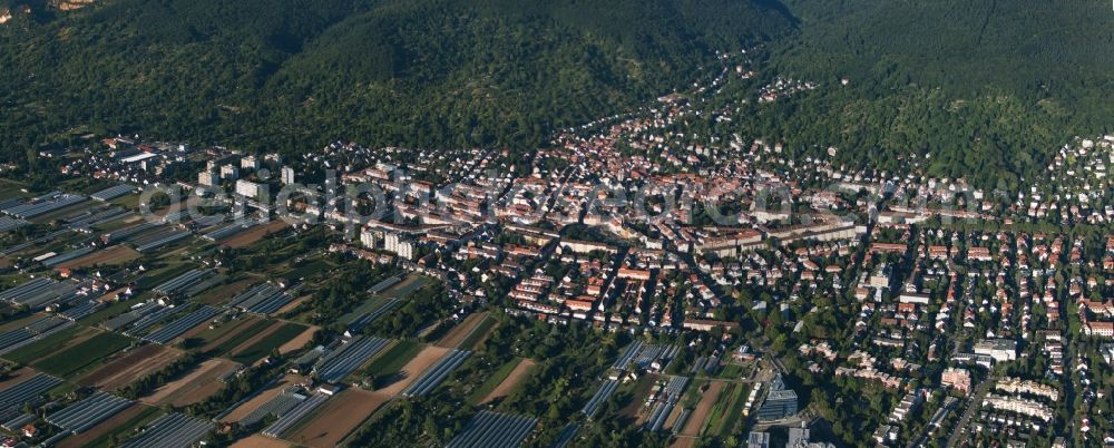 Aerial image Heidelberg - Village on the banks of the area Neckar river course in Heidelberg in the state Baden-Wuerttemberg