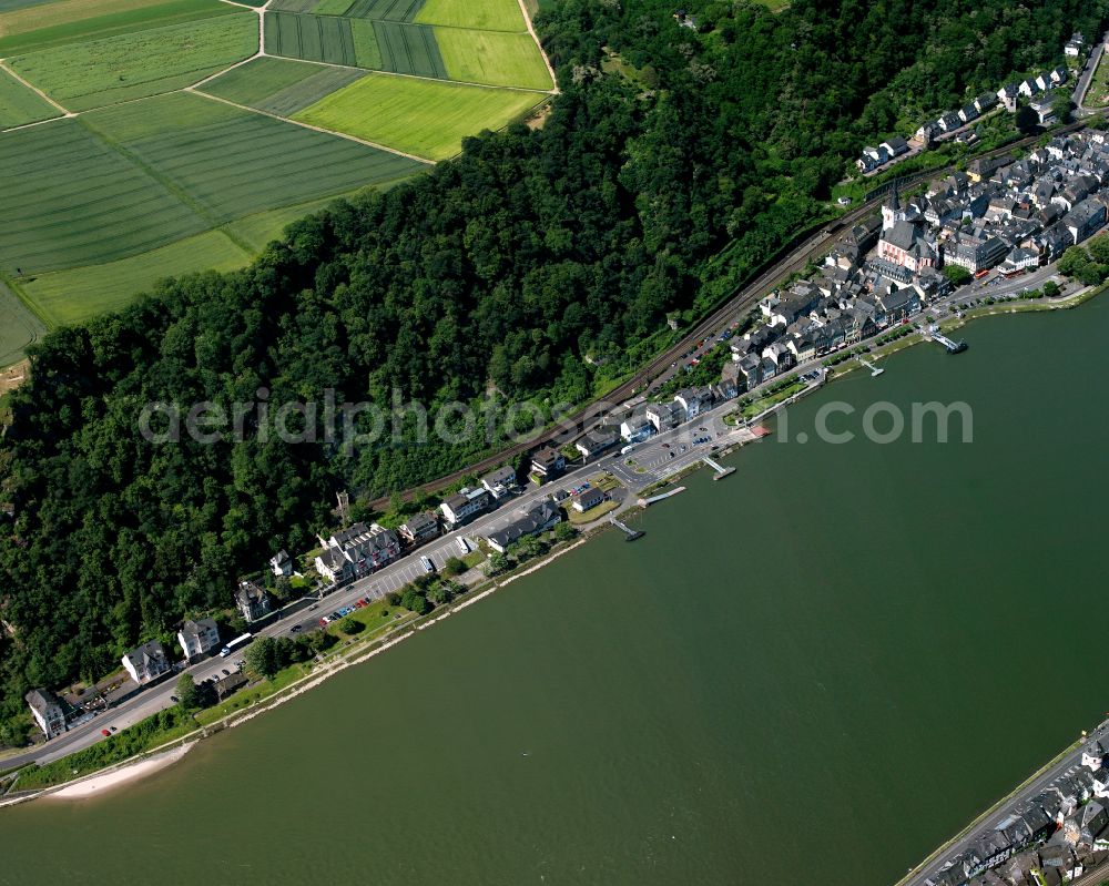 Aerial photograph Biebernheim - Village on the banks of the area Rhine - river course in Biebernheim in the state Rhineland-Palatinate, Germany