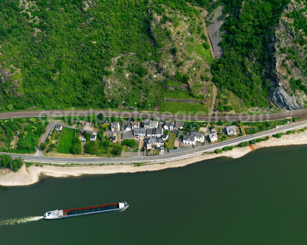 Ehrental Rhein-Lahn, Sankt Goarshausen from above - Village on the banks of the area Rhine - river course in Ehrental Rhein-Lahn, Sankt Goarshausen in the state Rhineland-Palatinate