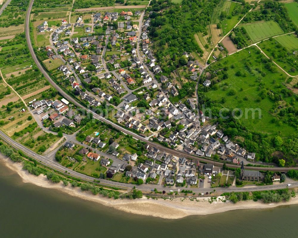 Aerial photograph Filsen - Village on the banks of the area Rhine - river course in Filsen in the state Rhineland-Palatinate