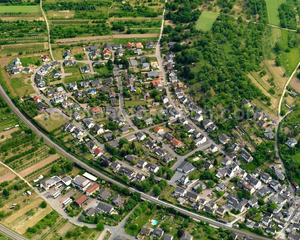 Filsen from the bird's eye view: Village on the banks of the area Rhine - river course in Filsen in the state Rhineland-Palatinate