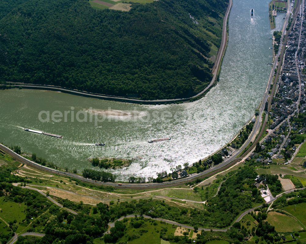 Kaub from the bird's eye view: Village on the banks of the area Rhine - river course in Kaub in the state Rhineland-Palatinate, Germany