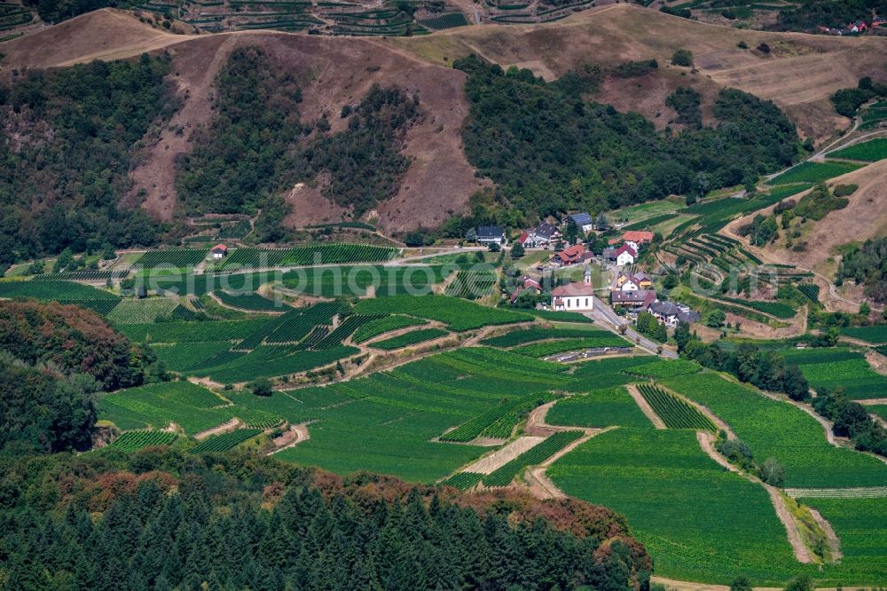 Vogtsburg im Kaiserstuhl from the bird's eye view: The district Alt Vogtsburg in Vogtsburg im Kaiserstuhl in the state Baden-Wurttemberg, Germany