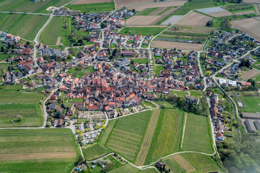 Vogtsburg im Kaiserstuhl from above - The district Burkheim in Vogtsburg im Kaiserstuhl in the state Baden-Wuerttemberg, Germany