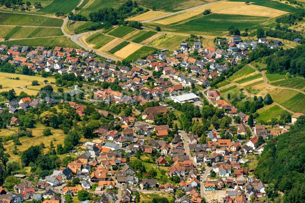 Aerial photograph Hohberg - The district Diersburg in Hohberg in the state Baden-Wuerttemberg, Germany