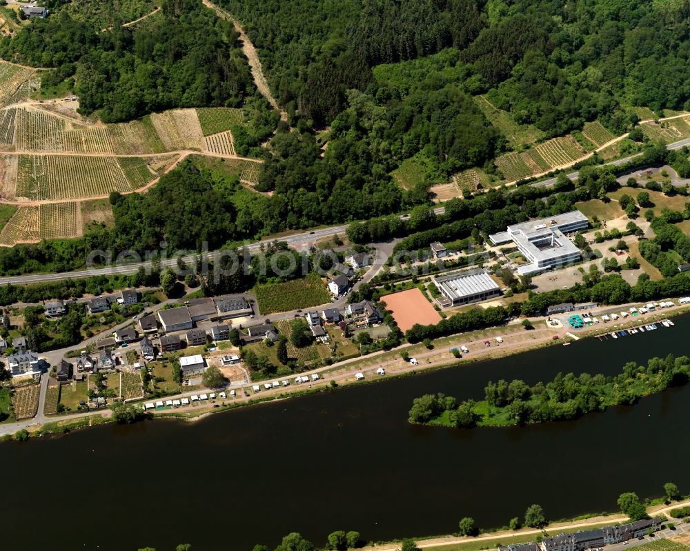 Zell (Mosel) Kaimt from above - Kaimt district on the banks of the river course of the Moselle in Zell (Mosel) in Rhineland-Palatinate