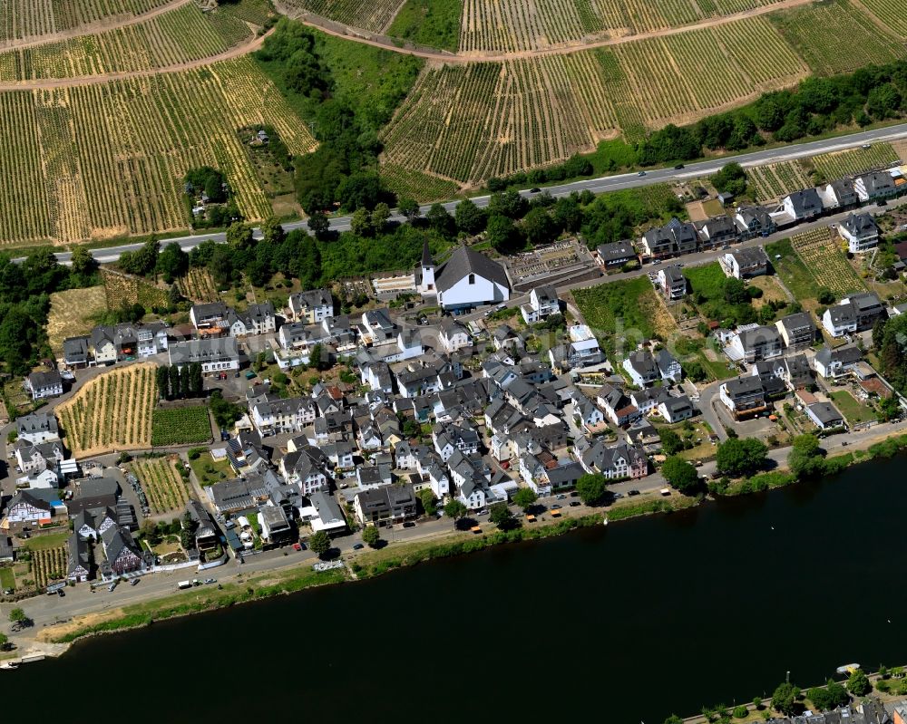 Zell (Mosel) Kaimt from the bird's eye view: Kaimt district on the banks of the river course of the Moselle in Zell (Mosel) in Rhineland-Palatinate