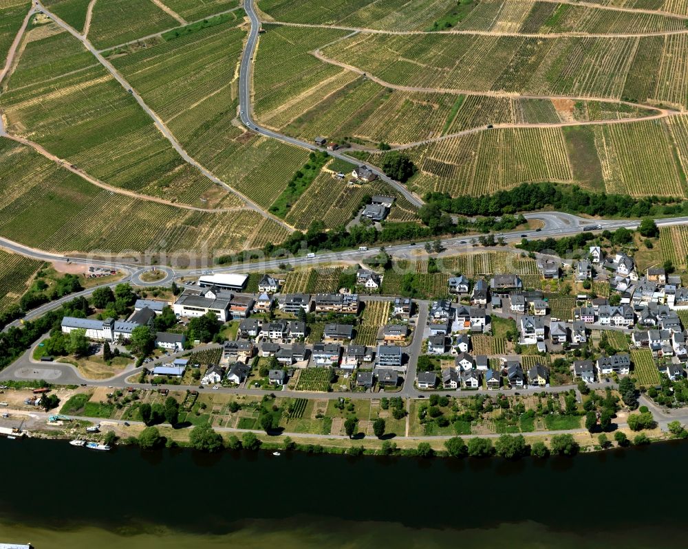 Aerial image Zell (Mosel) Kaimt - Kaimt district on the banks of the river course of the Moselle in Zell (Mosel) in Rhineland-Palatinate