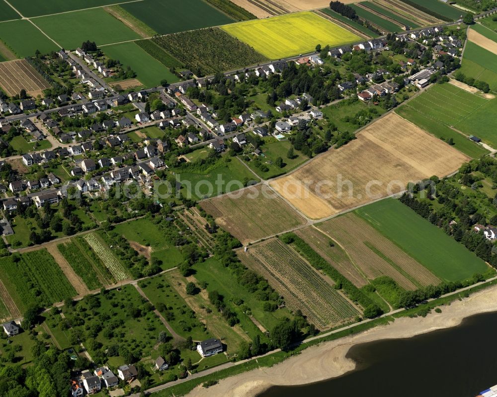 Aerial photograph Remagen Kripp - District Kripp in Remagen in Rhineland-Palatinate