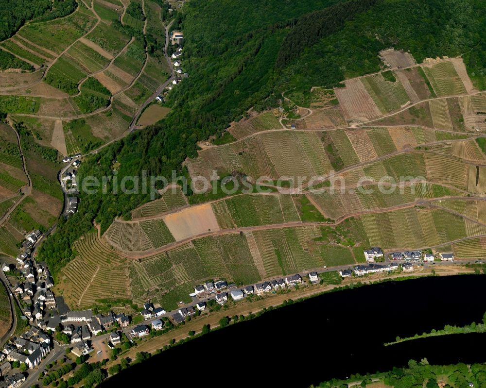 Zell (Mosel) Merl from above - Merl district on the banks of the Moselle flux flow in Zell (Mosel) in Rhineland-Palatinate