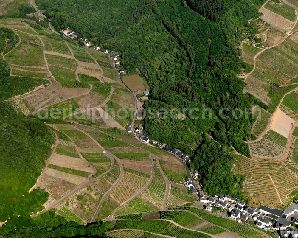 Zell (Mosel) Merl from the bird's eye view: Merl district on the banks of the Moselle flux flow in Zell (Mosel) in Rhineland-Palatinate