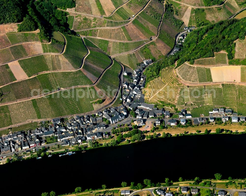 Aerial image Zell (Mosel) Merl - Merl district on the banks of the Moselle flux flow in Zell (Mosel) in Rhineland-Palatinate