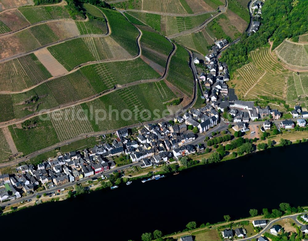 Aerial photograph Zell (Mosel) Merl - Merl district on the banks of the Moselle flux flow in Zell (Mosel) in Rhineland-Palatinate