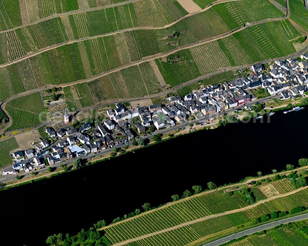 Zell (Mosel) Merl from above - Merl district on the banks of the Moselle flux flow in Zell (Mosel) in Rhineland-Palatinate