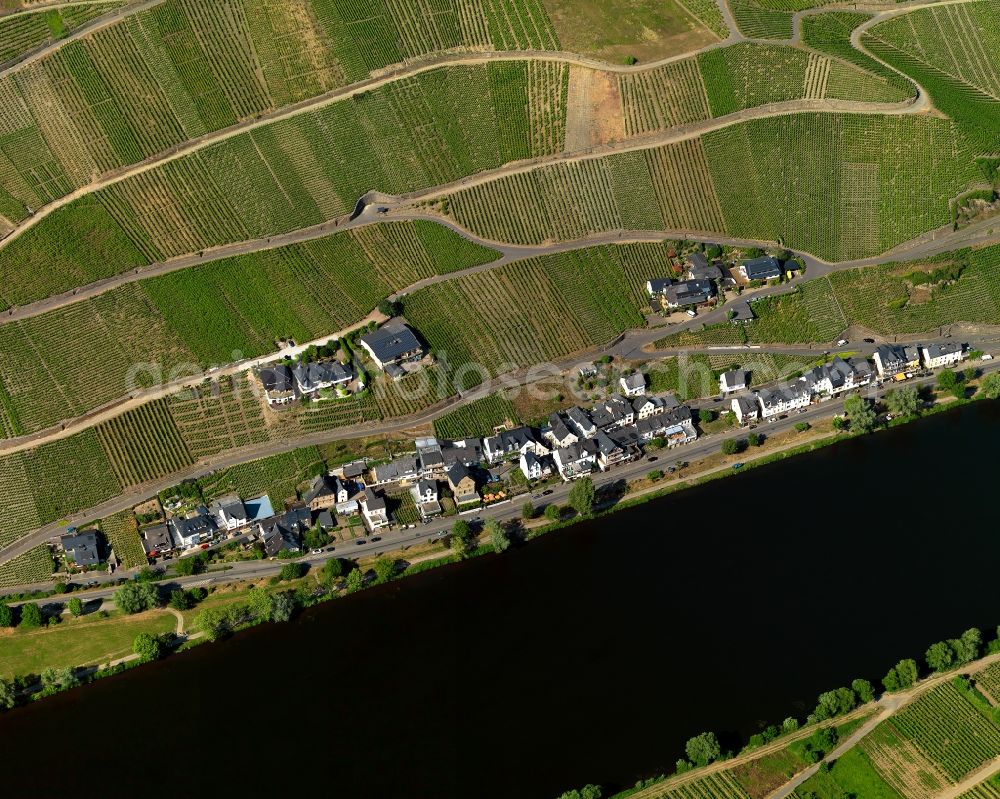 Zell (Mosel) Merl from the bird's eye view: Merl district on the banks of the Moselle flux flow in Zell (Mosel) in Rhineland-Palatinate