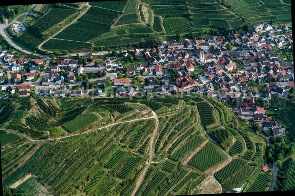 Vogtsburg im Kaiserstuhl from the bird's eye view: The district Oberbergen in Vogtsburg im Kaiserstuhl in the state Baden-Wuerttemberg, Germany