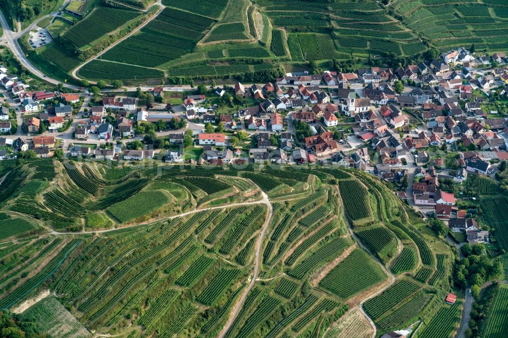 Vogtsburg im Kaiserstuhl from above - The district Oberbergen in Vogtsburg im Kaiserstuhl in the state Baden-Wuerttemberg, Germany