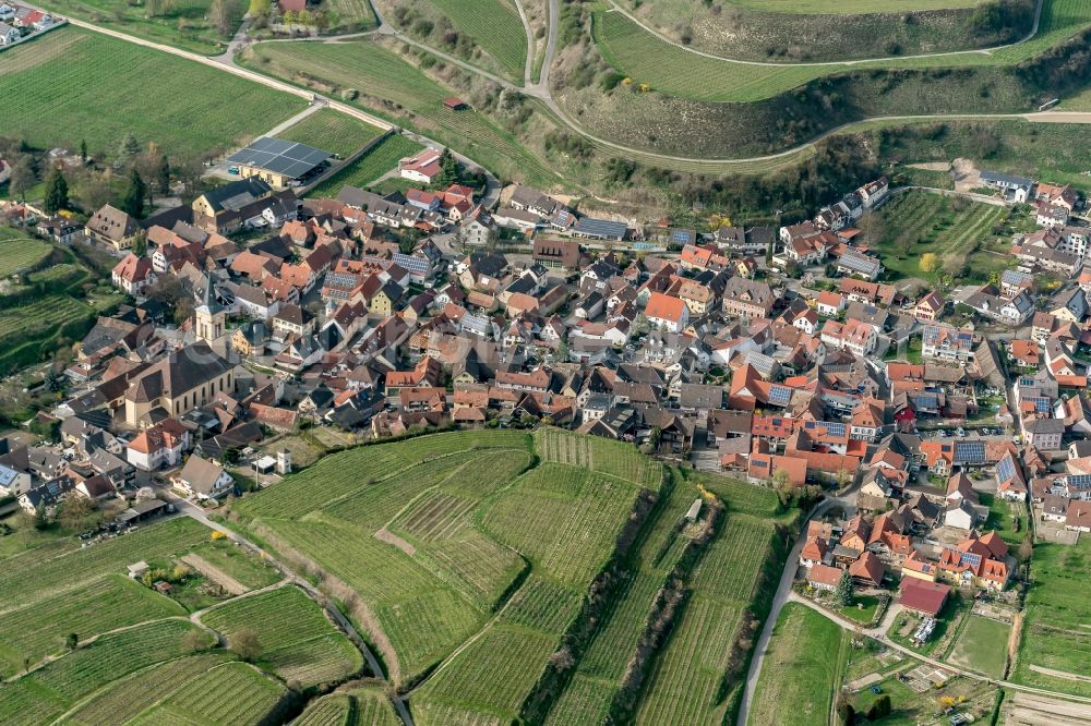 Vogtsburg im Kaiserstuhl from the bird's eye view: The district Oberrottweil in Vogtsburg im Kaiserstuhl in the state Baden-Wuerttemberg, Germany