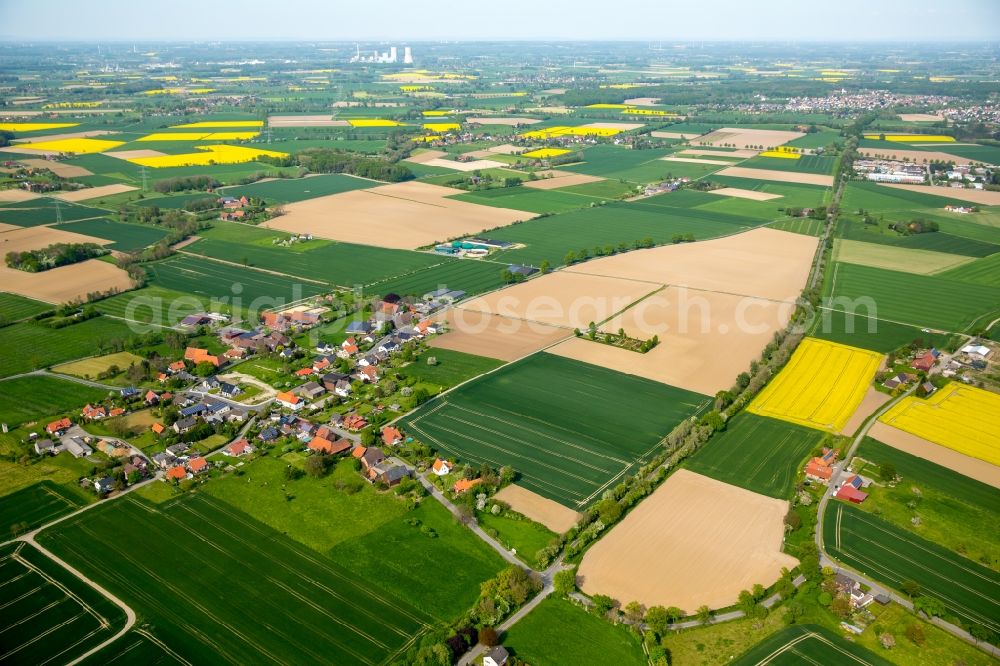 Hamm from the bird's eye view: The district Wambeln with fieldstructures in Hamm in the state North Rhine-Westphalia