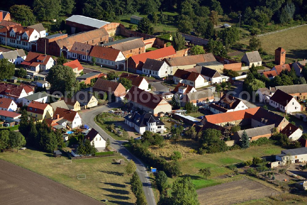 Aerial photograph Möckern OT Zeddenick - View of the district of Zeddenick in Moeckern in the state of Saxony-Anhalt