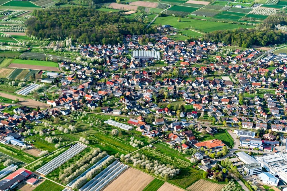 Aerial photograph Oberkirch - The district Zusenhofen in Oberkirch in the state Baden-Wuerttemberg, Germany