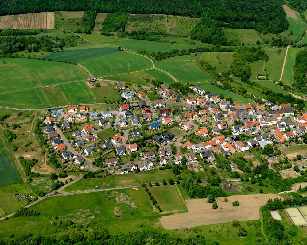 Feilbingert from above - View of the old Bingert part of the borough of Feilbingert in the state of Rhineland-Palatinate. The municipiality is located on the edge of the North Palatinate Mountains amidst vineyards and forest. The agricultural village with its single family houses and farms has been on site since the 11th century