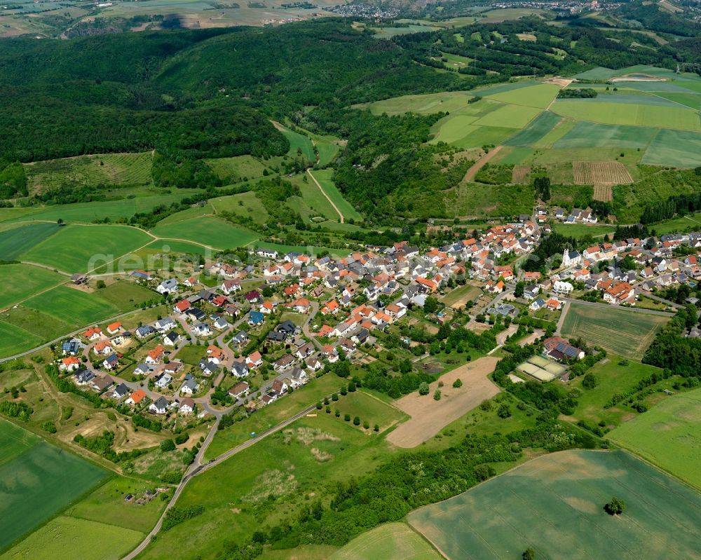 Feilbingert from the bird's eye view: View of the old Bingert part of the borough of Feilbingert in the state of Rhineland-Palatinate. The municipiality is located on the edge of the North Palatinate Mountains amidst vineyards and forest. The agricultural village with its single family houses and farms has been on site since the 11th century