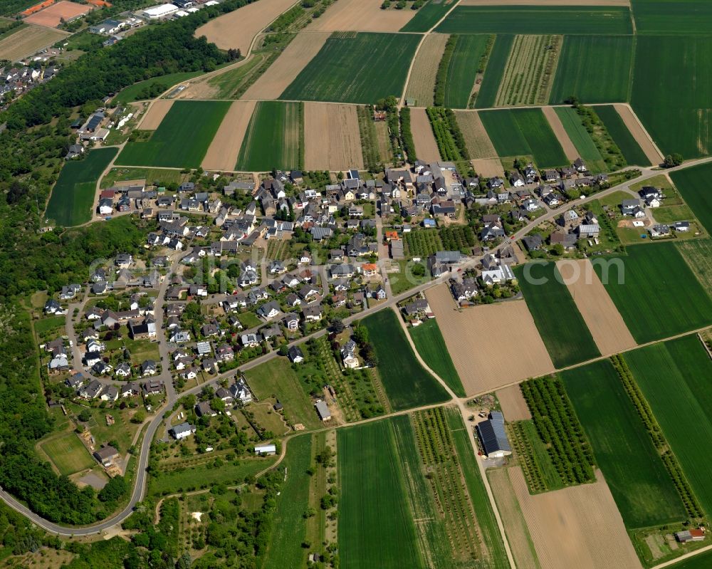 Dieblich from above - View of the Berg part of Dieblich in the state of Rhineland-Palatinate. The borough and municipiality is an official tourist resort and wine-growing village and located in the county district of Mayen-Koblenz on the left riverbank of the river Moselle, surrounded by hills, forest and fields. Berg is located in the Southeast of the borough