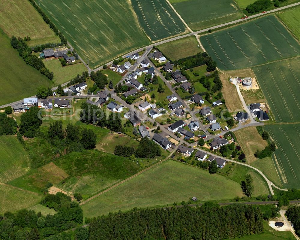 Aerial photograph Braunshorn - View of the Dudenroth part of the borough of Braunshorn in the state of Rhineland-Palatinate. The borough and municipiality is located in the county district of Rhine-Hunsrueck, in the foothills of the Hunsrueck region. The village consists of residential areas and is surrounded by fields and meadows and includes several parts and hamlets such as Dudenroth