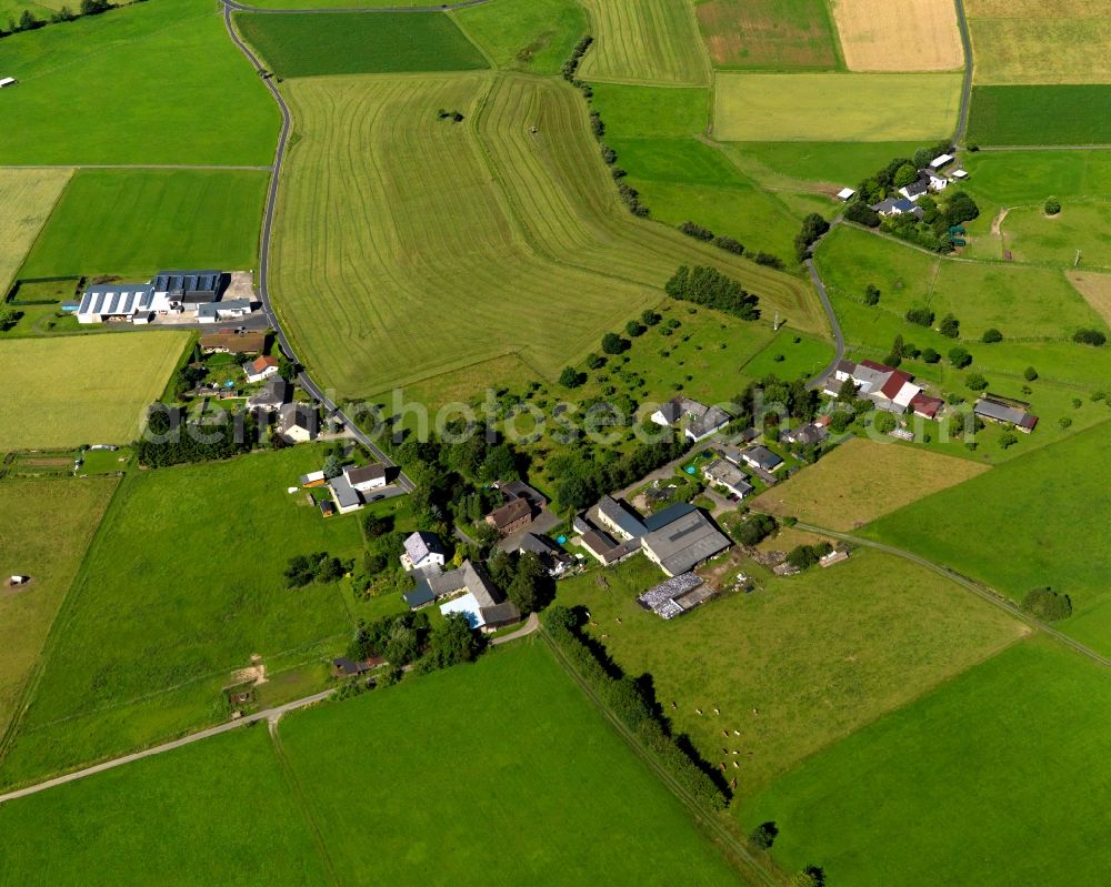 Buchholz from the bird's eye view: View of the Elles part of Buchholz in the state of Rhineland-Palatinate. The borough and municipiality Buchholz is located in the county district of Neuwied on the edge of the Westerwald forest region and surrounded by fields, meadows and hills. Elles is an agriculturally informed village and consists of agricultural estates and animal breeding farms