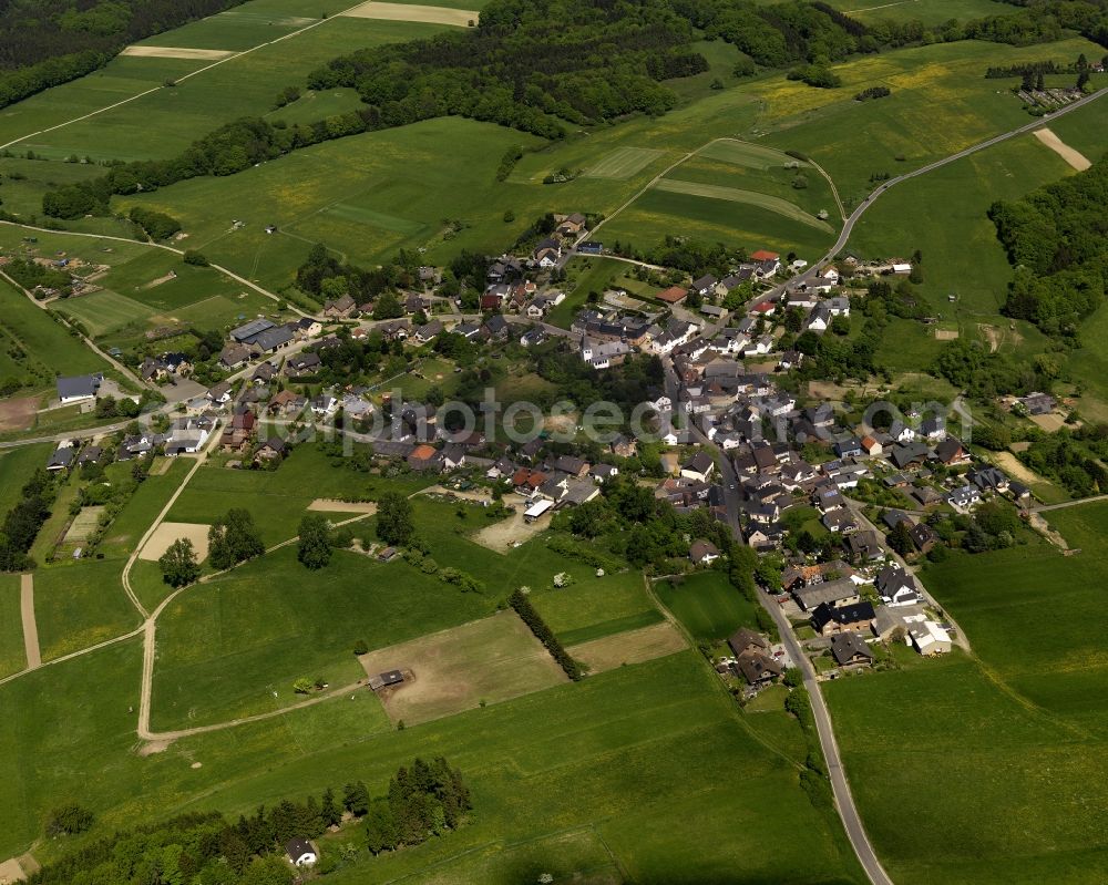 Aerial photograph Berg - View of the Freisheim part of the borough of Berg in the state of Rhineland-Palatinate. Freisheim is located in the West of the borough - on the border to North Rhine-Westphalia - and is surrounded by forest and agricultural land