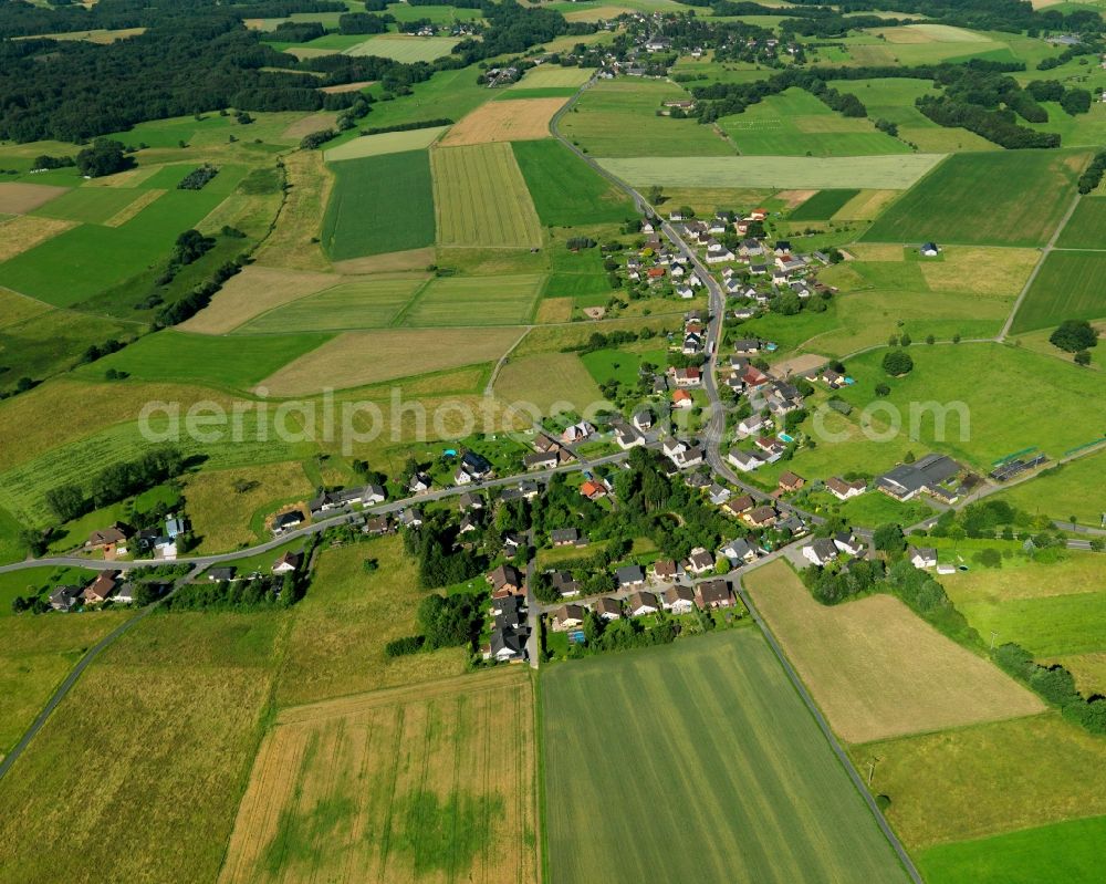 Buchholz from the bird's eye view: View of the Griesenbach part of Buchholz in the state of Rhineland-Palatinate. The borough and municipiality Buchholz is located in the county district of Neuwied on the edge of the Westerwald forest region and surrounded by fields, meadows and hills. Griesenbach is located in the East of the borough