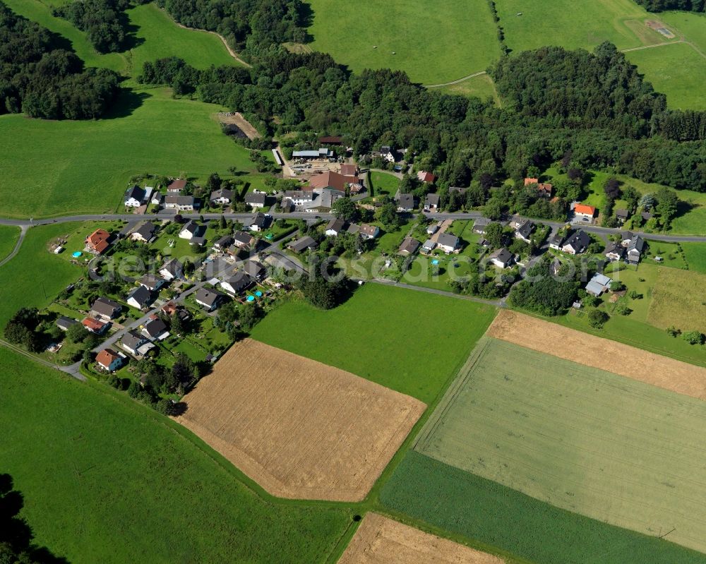 Buchholz from the bird's eye view: View of the Hammelshahn part of Buchholz in the state of Rhineland-Palatinate. The borough and municipiality Buchholz is located in the county district of Neuwied on the edge of the Westerwald forest region and surrounded by fields, meadows and hills. Hammelshahn is an agriculturally informed residential area on a forest