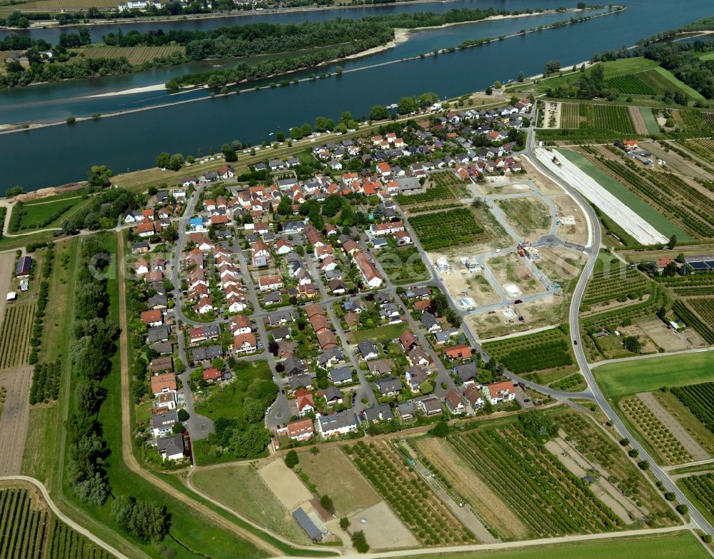 Heidesheim am Rhein Heidenfahrt from above - District view of Heidenfahrt in Heidesheim am Rhine in the state Rhineland-Palatinate