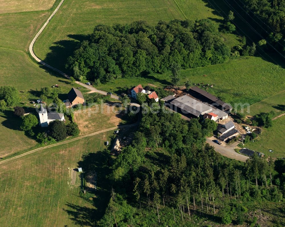 Wasenbach from the bird's eye view: View of the hamlet of Habenscheid estate in the borough of Wasenbach in the state of Rhineland-Palatinate. The borough and municipiality is located in the county district of Rhine-Lahn. The village consists of residential buiildings and areas, sits in a valley of the Taunus mountain range and is surrounded by forest and fields