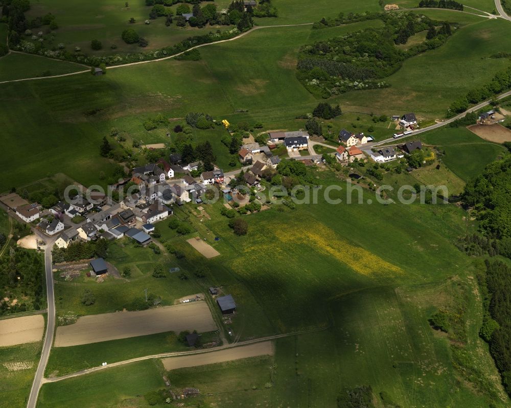 Aerial image Berg - View of the Haeselingen part of the borough of Berg in the state of Rhineland-Palatinate. Haeselingen is located in the South-West of the borough - on the border to North Rhine-Westphalia - and is surrounded by forest and agricultural land